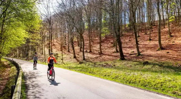 Två personer cyklar på en asfalterad väg genom en lummig skog. Solen lyser genom träden och skapar ett vackert mönster på marken. En idyllisk scen som visar upp Sveriges vackra cykelleder.