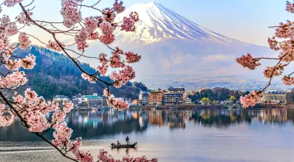 Kwiaty wiśni nad jeziorem z widokiem na Fudżi. To widok, który budzi ciekawość o Japonii i jej pięknych krajobrazach.