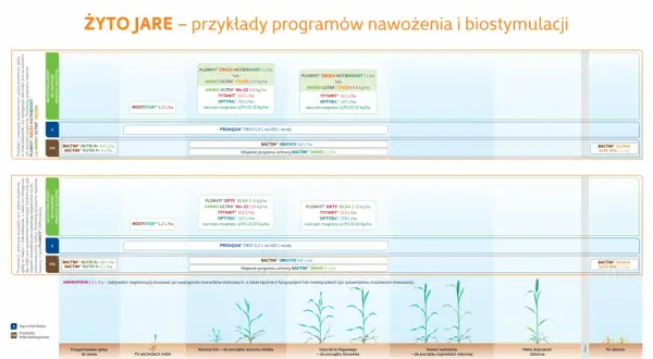 Programy nawożenia i biostymulacji dla żyta jarego: przykłady zastosowania ROOTSTART™, PLONVIT®, BACTIM® i innych preparatów.