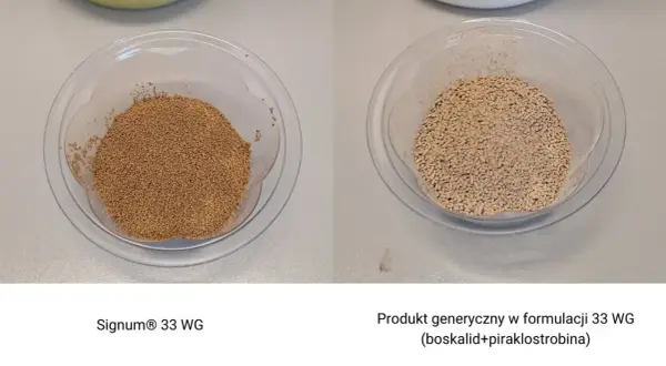 Dwa naczynia z granulatem: po lewej Signum® 33 WG, po prawej produkt generyczny.