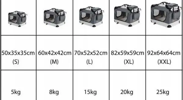 Transporter dla psa Cadoca - wybierz idealny model dla swojego pupila