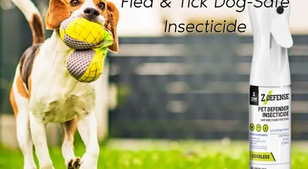 Efectividad de la permetrina para pulgas: seguridad y aplicación en mascotas