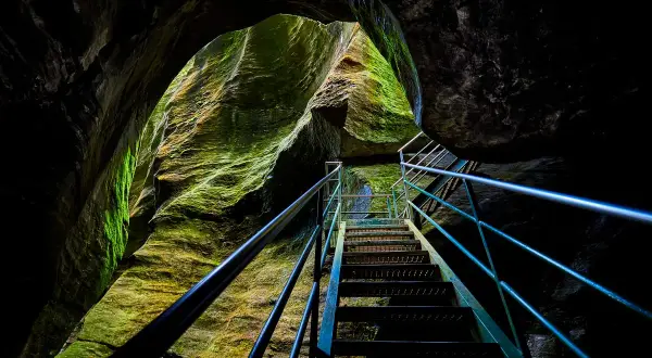 Una scala metallica sale tra le rocce muschiose degli orridi di Uriezzo, illuminata da una luce che filtra dall'alto.