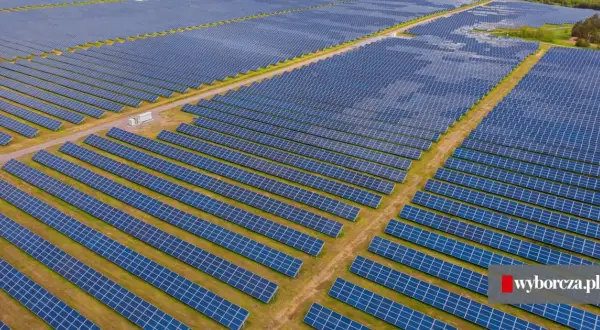 Inwestycja w farmę PV 2026: koszty, zyski, pułapki. Czy warto?