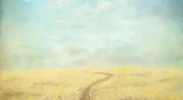 Camino en un campo dorado bajo un cielo azul y nublado. "Yo soy el que soy", dice la naturaleza.