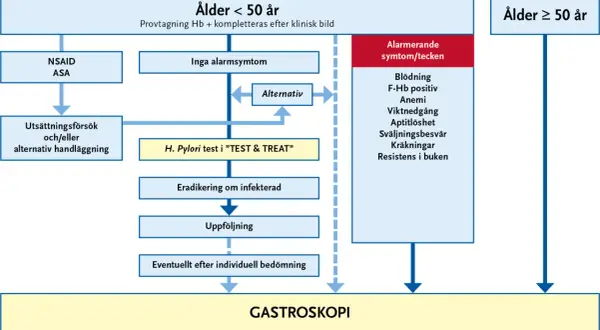 Flödesschema för utredning av magproblem. Vid misstanke om helicobacter pylori kan ett "TEST & TREAT" göras.
