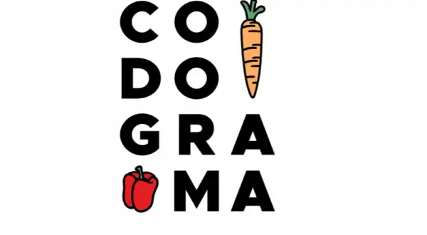 Co do grama catering dietetyczny - zdrowe posiłki bez monotonii