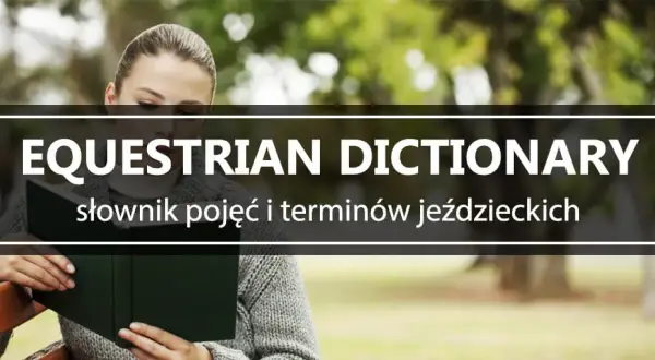 Synonimy jeździectwa – poznaj alternatywne wyrażenia i ich znaczenie