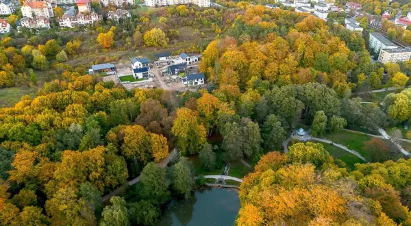 Jesienny widok na park Oruński w Gdańsku. Złote liście drzew otaczają staw, a w oddali widać zabudowania.