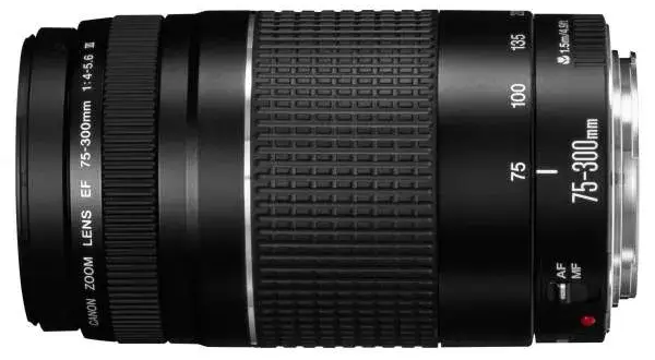 Obiektyw 75-300 mm: Rewelacyjne zastosowania w różnych rodzajach fotografii