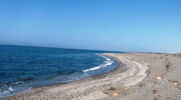 Mar azul y cielo despejado en **Punta Entinas**. La arena y las conchas forman una curva suave hacia el mar.
