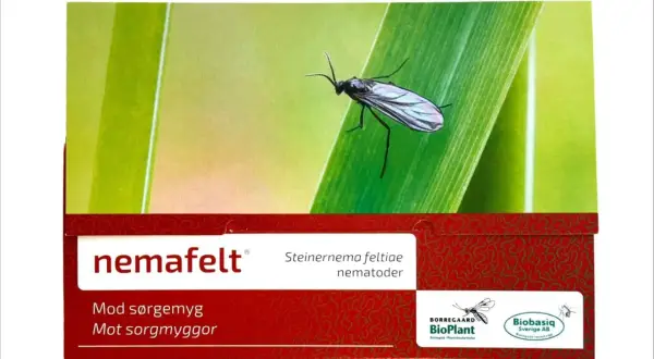NemaFelt-förpackning med en sorgmygga på ett blad. Produkten innehåller nematoder som bekämpar sorgmyggor.