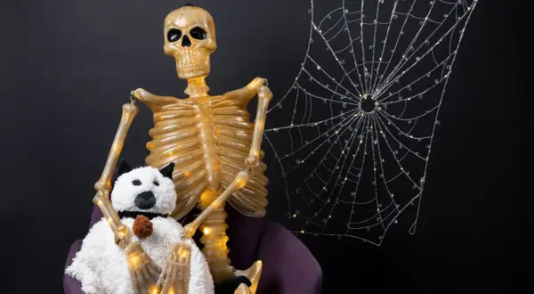 A skeleton with a plush dog, perfect for spooky halloween decorating ideas indoor. A light-up spiderweb adds to the eerie ambiance.
