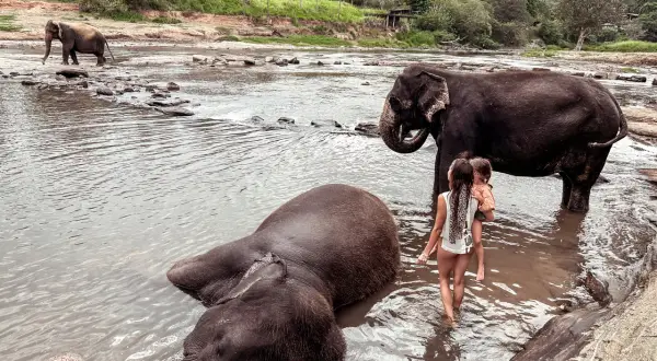 Sri Lanka: Co warto zobaczyć? Przewodnik po Perle Oceanu
