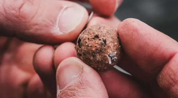 Dłoń trzyma kulkę zanętową z przyczepionymi gumkami do pelletu.