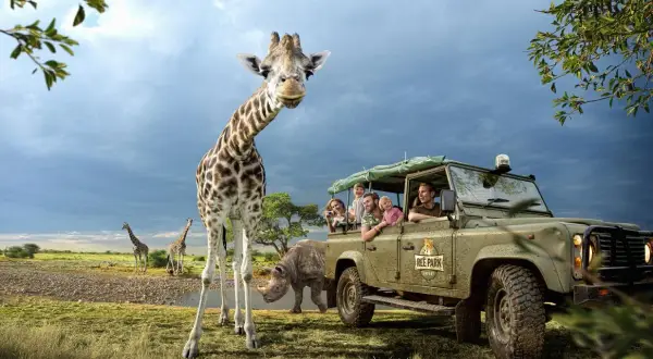 En familj på safari i Danmark möter en nyfiken giraff. En noshörning syns i bakgrunden.