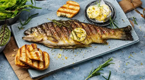 Perfekt gegrillte Forelle mit Rosmarin, Zitronenscheiben und geröstetem Brot. Ein Genuss für alle Sinne!