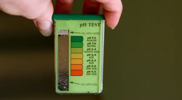 Dłoń trzyma kwasomierz glebowy, pokazujący wynik testu pH gleby.