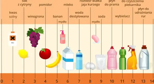 Wykres pH pokazuje, że niektóre produkty spożywcze, jak winogrona czy pomidory, mają niższe pH, co może wpływać na wysokie pH moczu.