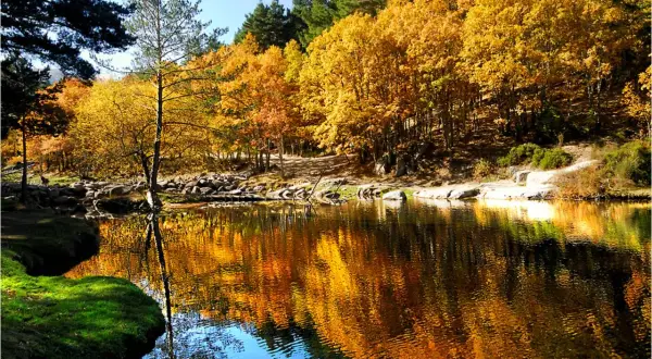 Reflejos dorados de otoño en un lago sereno en Rascafría, Madrid.