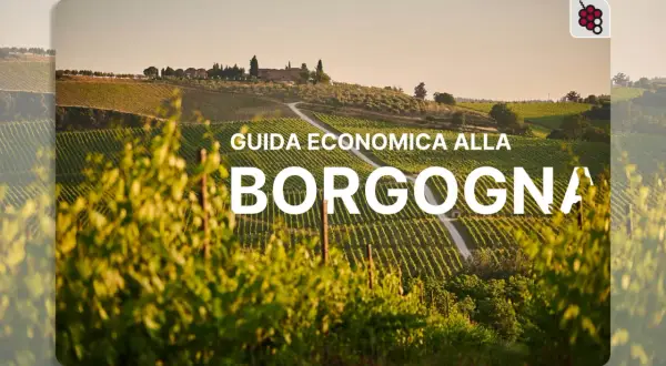 Vigneti rigogliosi sotto il sole, con un casolare in collina. Guida economica alla Borgogna, per scoprire i suoi vini.