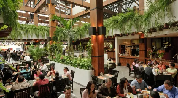 Gente disfrutando en un restaurante con mucha vegetación. Un lugar ideal donde comer en San José, Almería, con ambiente tropical.