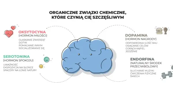 Dopamina, hormon nagrody, uwalnia się przy osiąganiu celów, jedzeniu i innych przyjemnościach. Schemat pokazuje też oksytocynę, serotoninę i endorfiny.