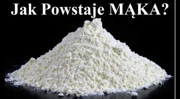 Tajemnice młyna: Jak powstaje mąka? Cały proces produkcji