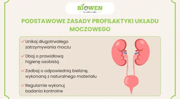 Jak dbać o układ wydalniczy: unikaj wstrzymywania moczu, dbaj o higienę, noś naturalną bieliznę i wykonuj badania.