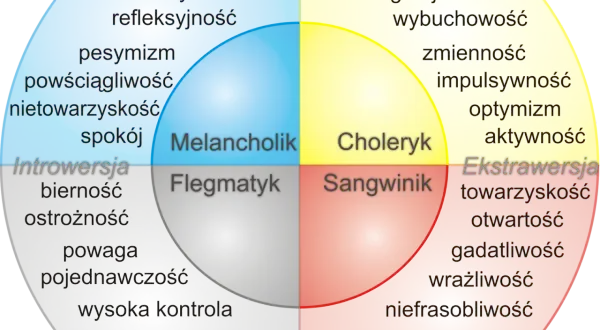 Jakie są 4 typy osobowości i jak wpływają na nasze życie?