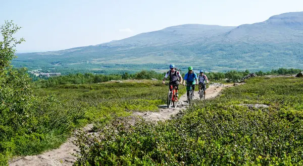 Tre cyklister på stig nära Blåhammaren Storulvån, med fjäll i bakgrunden.