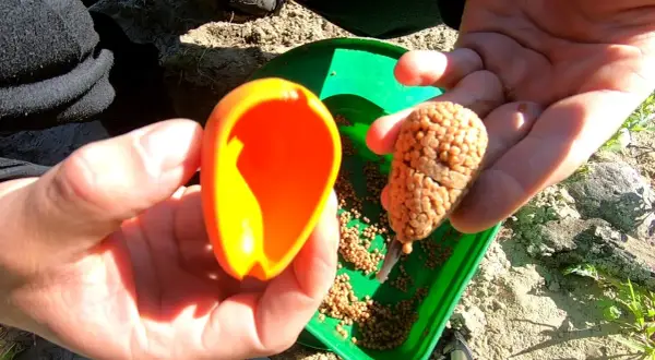 Jak zakładać pellet na haczyk - uniknij najczęstszych błędów w wędkowaniu