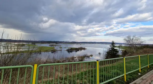 Rozlewiska Narwi koło Łomży, malownicze widoki i dzika przyroda. To jedne z wielu atrakcji regionu.