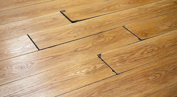 Suelo de madera con tablas levantadas, revelando un oscuro moho negro debajo.