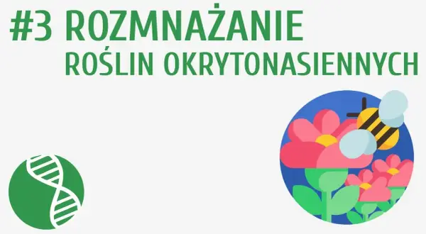 Jak rozmnażają się rośliny nasienne - zaskakujące procesy i różnice