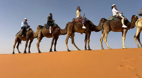 Kameltur i öknen nära Fez stad. Fyra personer rider på kameler över sanddynerna under en klarblå himmel.