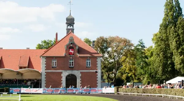 Samiec w stadninie: Poznaj znaczenie ogiera i innych terminów