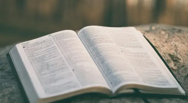 Otwarta księga Biblii na kamieniu, z widocznym tekstem. Wśród stron znajduje się psalm o miłości, który można odnaleźć w tym świętym tekście.