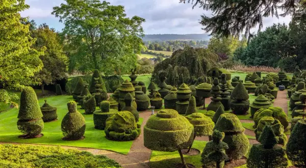 Niezwykły ogród w Friar Park, pełen fantazyjnie przyciętych krzewów, tworzących rzeźby i figury.