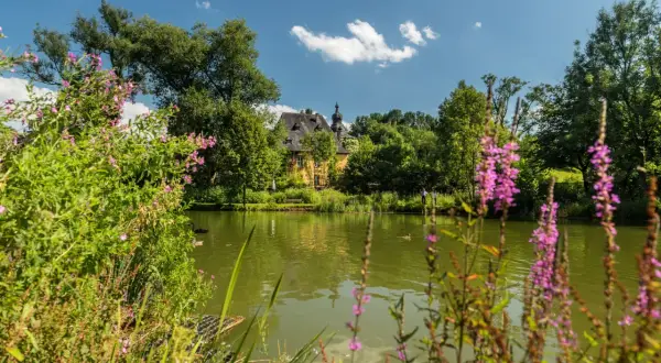 Idyllischer Teich mit Schloss und blühenden Pflanzen. Perfekt für eine Wanderung in Bergisch Gladbach.