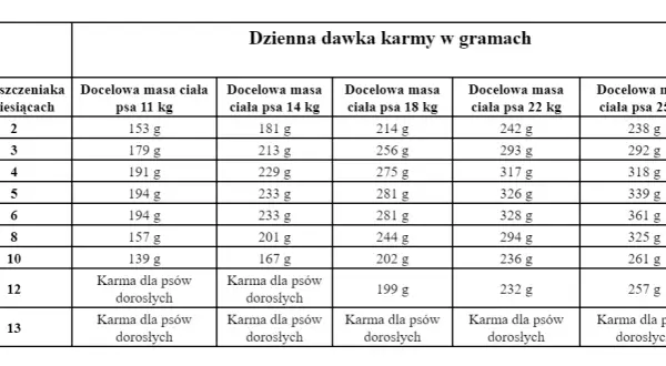 Ile karmy dla psa? Oblicz idealną dawkę krok po kroku!