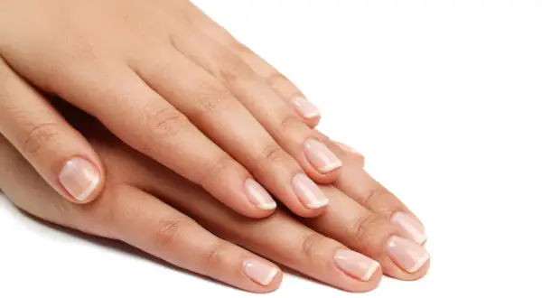 Eleganckie dłonie z klasycznym french manicure. Dowiedz się, jak zrobić french zwykłym lakierem, by uzyskać taki efekt.