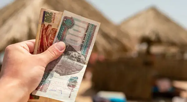 Ręka trzyma banknoty 100 i 200 funtów egipskich. Planujesz podróż do Egiptu i zastanawiasz się, jakie dolary zabrać?