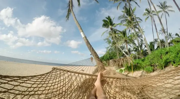 Relaks w hamaku na plaży z palmami. Idealne miejsce na wakacje w listopadzie, gdzie najcieplej.