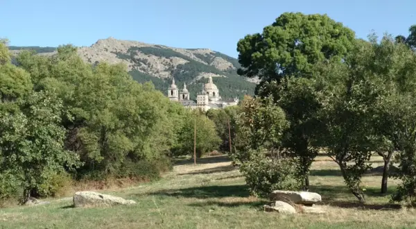 Un majestuoso edificio se alza entre los árboles del bosque de la Herrería, con montañas escarpadas al fondo bajo un cielo azul.