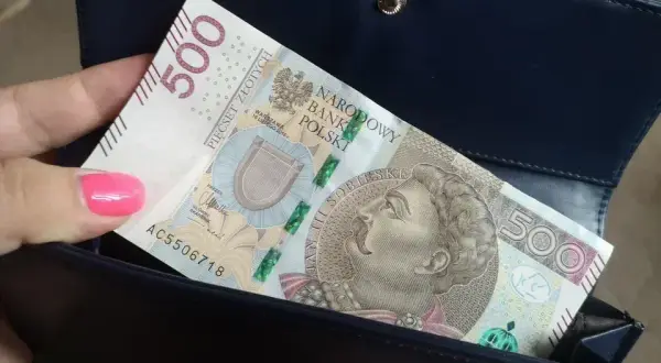 800 plus: Do kiedy wniosek? Nie strać pieniędzy!