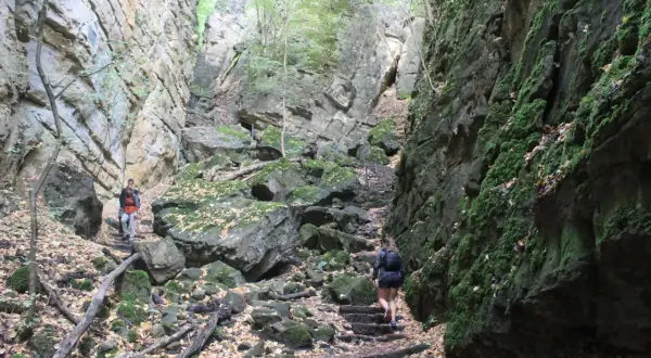Randonneurs dans un canyon rocheux, un sentier escarpé bordé de mousse et de feuilles mortes. Un paysage qui rappelle la beauté sauvage d'une petite Suisse luxembourgeoise.