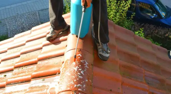 Person utför mossborttagning tak med en sprayflaska. Takpannorna är orange och det syns skum på dem.