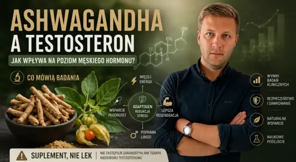 Ashwagandha a testosteron: jak wpływa na poziom męskiego hormonu? Badania, wsparcie płodności, energia, redukcja stresu.