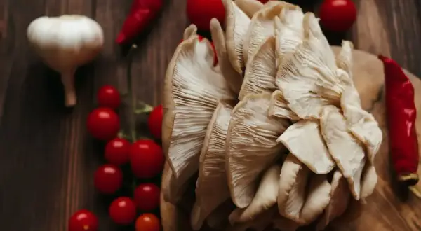 Boczniaki w ciąży, otoczone pomidorkami koktajlowymi, czosnkiem i papryczkami chili, gotowe na kulinarną podróż.